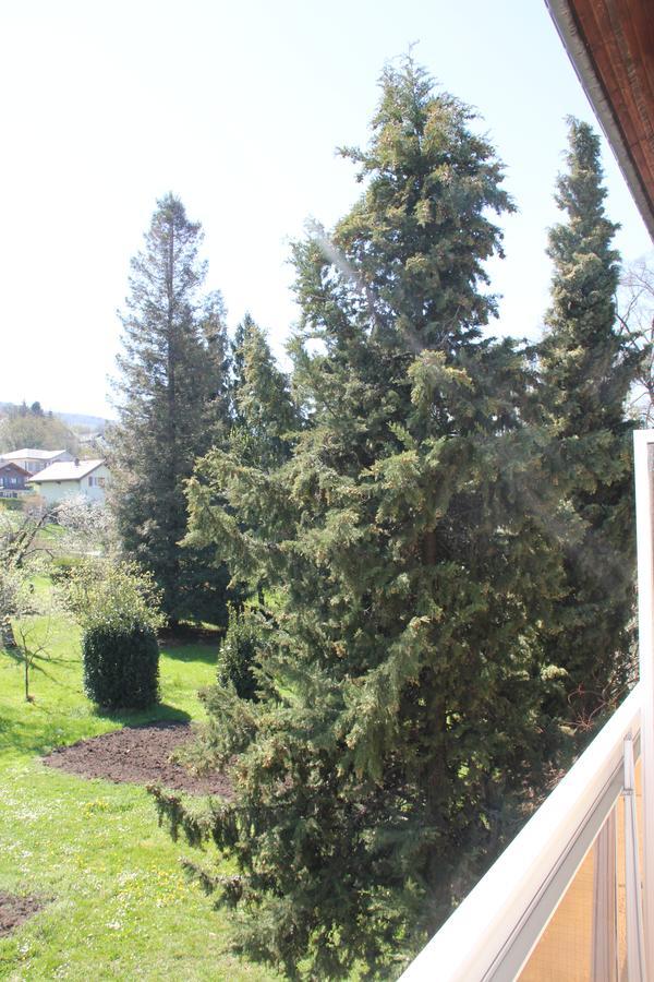 Hotel Restaurant Le Panorama Neuvecelle Екстериор снимка
